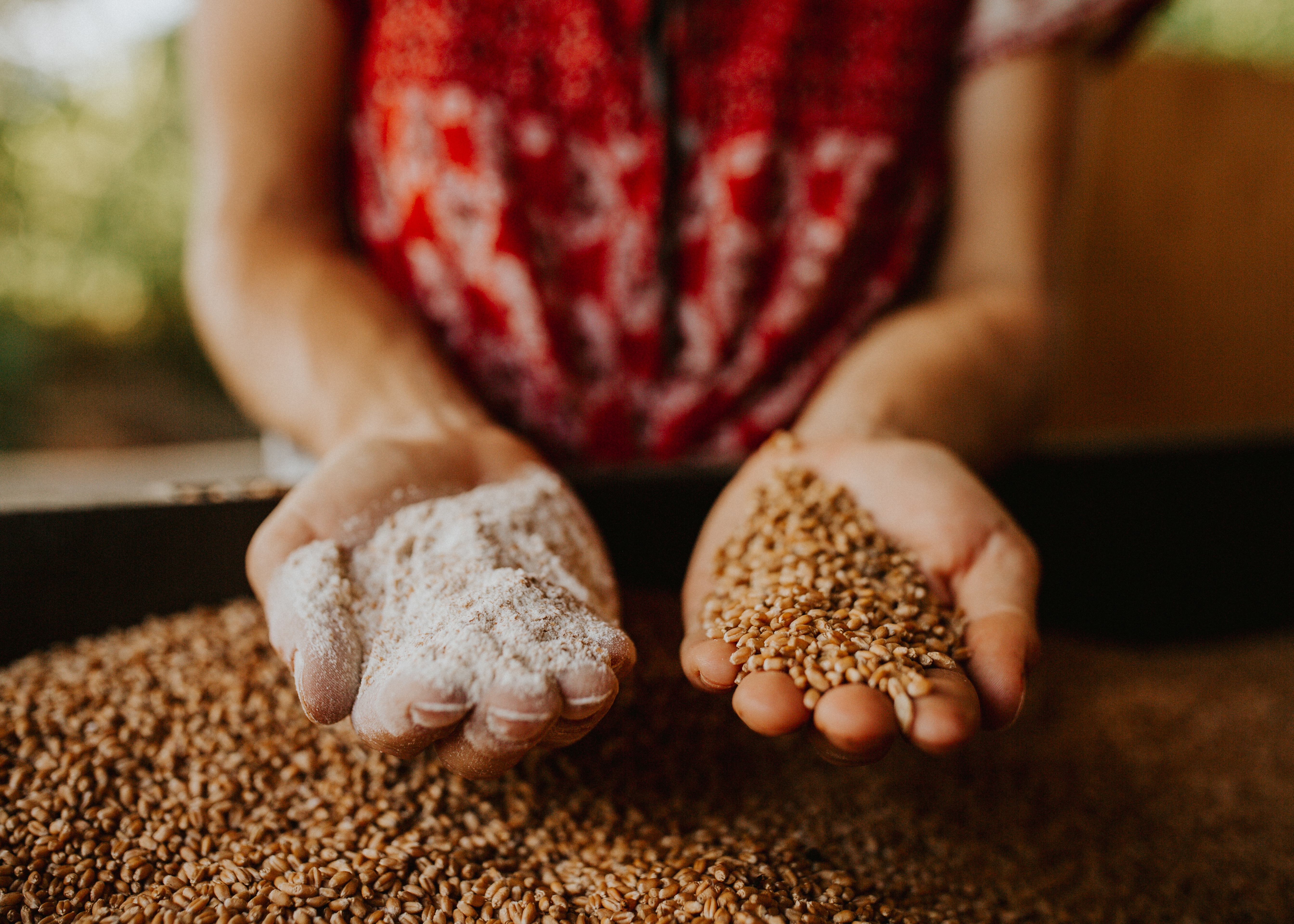 Artisan Foods